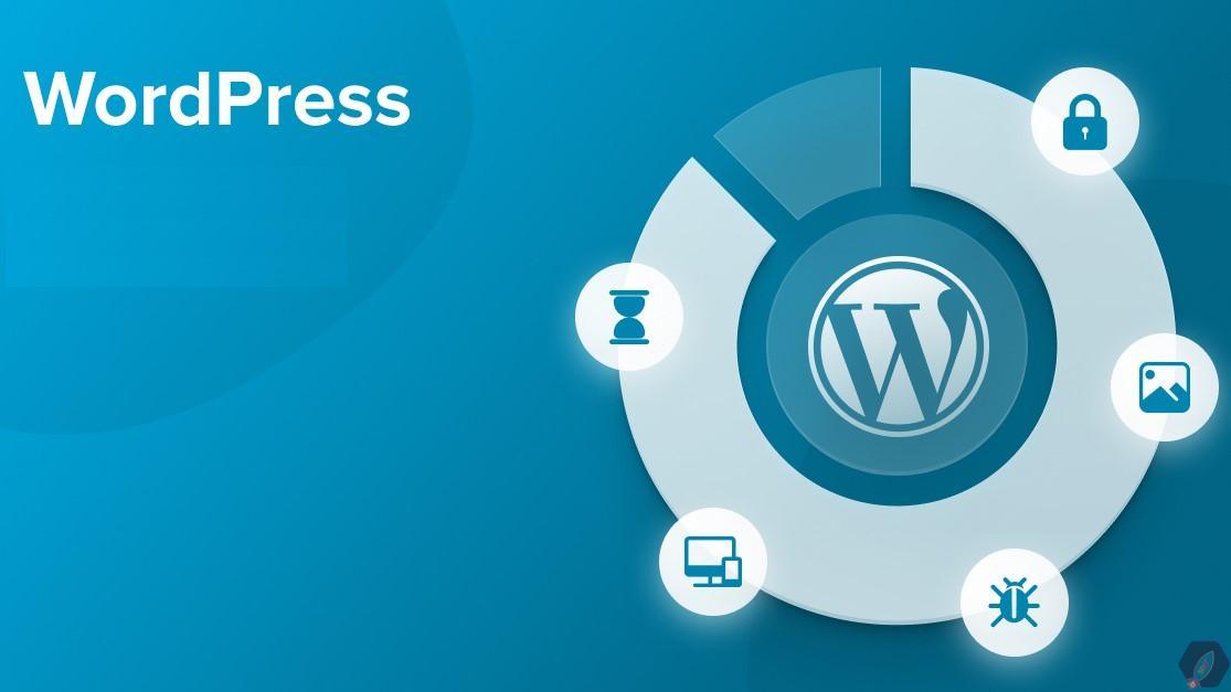 چرا استفاده از افزونه سئو در وردپرس اهمیت دارد؟